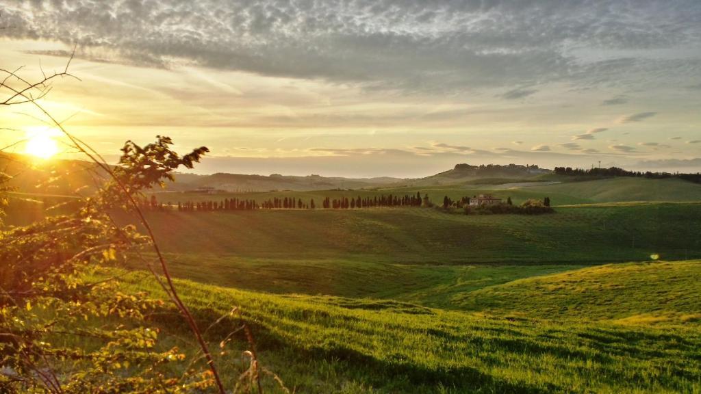 Azienda Agrituristica Il Poggetto Delle Spighe Vila Collesalvetti Exterior foto